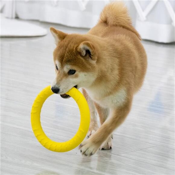 Dog Flying Disc,Floating Dog Ring Toys, Indestructible Dog Chew Toys - Picture 7 of 8
